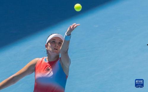 致穆扎雷尔,探索神秘世界的奇幻之旅