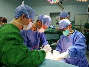 移植手术 第一季