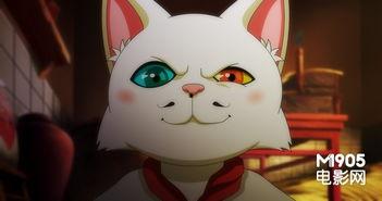 我的老婆是只猫,我的老婆竟是一只神秘猫咪