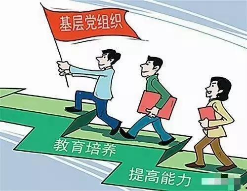 有组织的工作,有组织工作模式深度解析